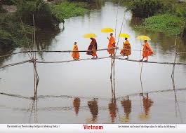Bamboo bridge
